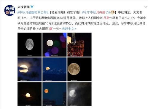 最新荣耀爆料新闻视频播放,神秘新机亮相，性能与外观大揭秘！